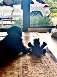 Island Factory Blinds | Shades, Window Treatments in Naples & Marco Island photo 39