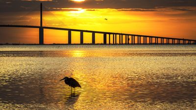 St. Pete Insurance Agency photo 17