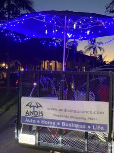 Andis Insurance Agency, Inc