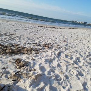 Insurance Solutions of SW Fl