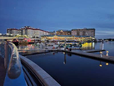 Tampa Convention Center Marina