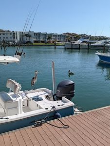 PORT 32 Marinas Tierra Verde