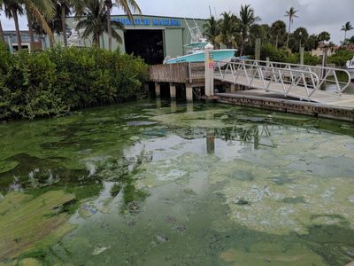 Riverwatch Marina photo 29