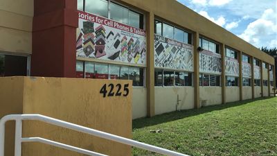 Dalbani Global photo 6