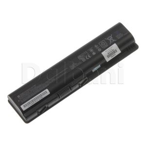 Dalbani Global photo 30