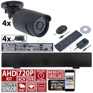 Dalbani Global photo 35