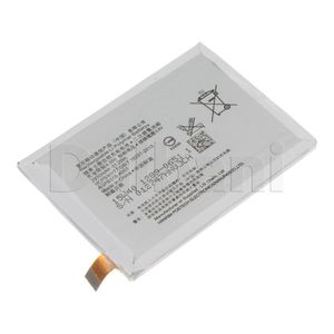 Dalbani Global photo 40