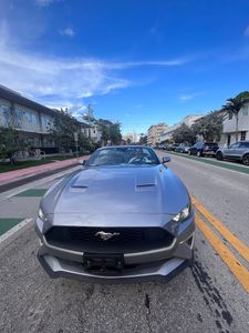 Florida Premium Rentacar photo 16