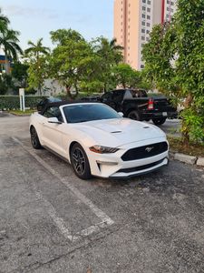 Florida Premium Rentacar photo 43