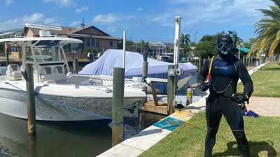 Hayden Hull Cleaning