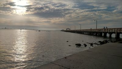 Tampa Yacht & Country Club photo 13