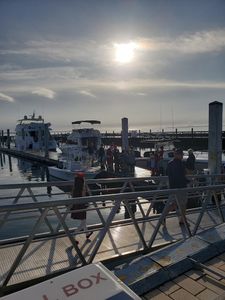 Tampa Yacht & Country Club photo 20