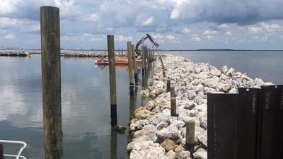 Tampa Yacht & Country Club photo 31