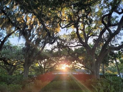 Tampa Yacht & Country Club photo 32