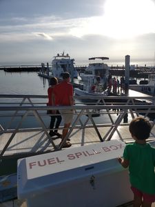 Tampa Yacht & Country Club photo 37