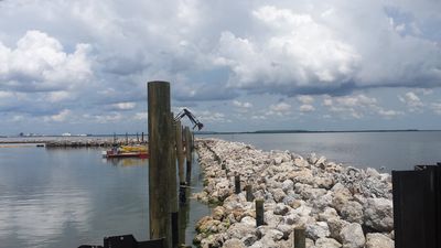 Tampa Yacht & Country Club photo 51