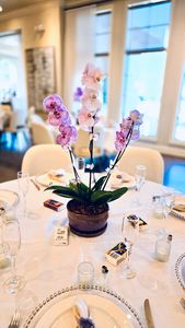 The Bay Club at the Westshore Yacht Club photo 16