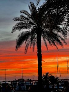 The Bay Club at the Westshore Yacht Club photo 36