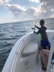 Freedom Boat Club – Tampa: Rick’s on the River photo 26