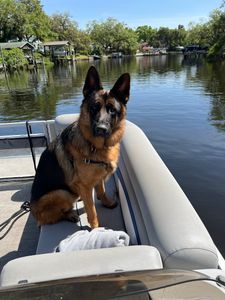 Freedom Boat Club – Tampa: Rick’s on the River photo 35