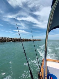 IslandYachtClub photo 40