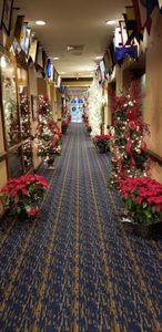 St Petersburg Yacht Club photo 7