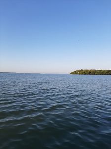 Freedom Boat Club Loggerhead Marina photo 40