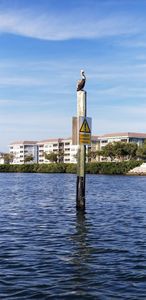 Freedom Boat Club – Anna-Maria Pier 77