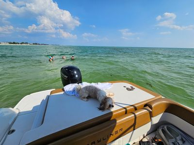 Freedom Boat Club – Anna-Maria Pier 77 photo 4