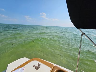 Freedom Boat Club – Anna-Maria Pier 77 photo 9