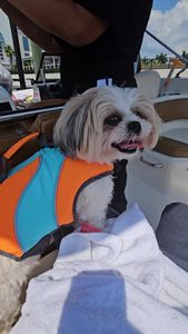 Freedom Boat Club – Anna-Maria Pier 77 photo 38