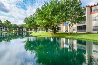 Yacht Club (Northland) at Heritage Harbour Apartments photo 6