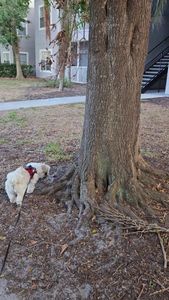 Yacht Club (Northland) at Heritage Harbour Apartments photo 48
