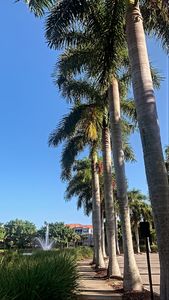 Yacht Club (Northland) at Heritage Harbour Apartments photo 58