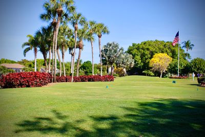 The Landings Yacht, Golf & Tennis Club photo 6