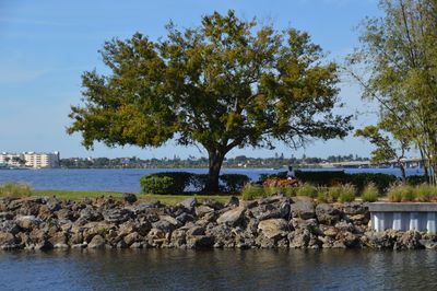 The Landings Yacht, Golf & Tennis Club photo 32