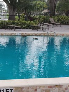 The Landings Yacht, Golf & Tennis Club photo 35