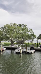 Freedom Boat Club – Sarasota: Marina Jack photo 18