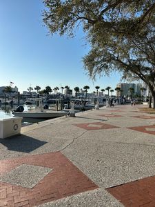 Freedom Boat Club – Sarasota: Marina Jack photo 59