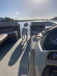 Freedom Boat Club – Sarasota: Marina Jack photo 24