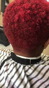 Shear Tastic photo 13