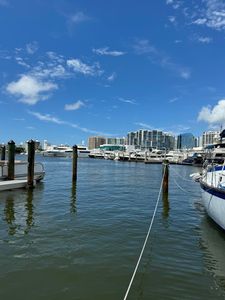 Ocean Spark Detailing