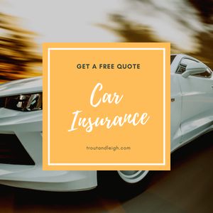 Trout & Leigh Insurance, Inc. photo 9