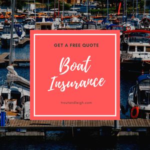 Trout & Leigh Insurance, Inc. photo 12