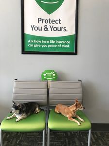 Acceptance Insurance photo 12