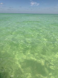 Bradenton Beach Marina photo 24