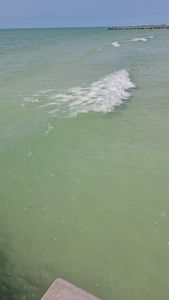 Bradenton Beach Marina photo 45