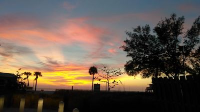 Bradenton Beach Marina photo 64