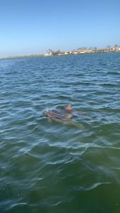 Bradenton Beach Marina photo 11