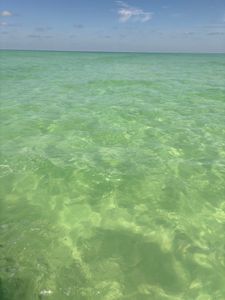 Bradenton Beach Marina photo 59
